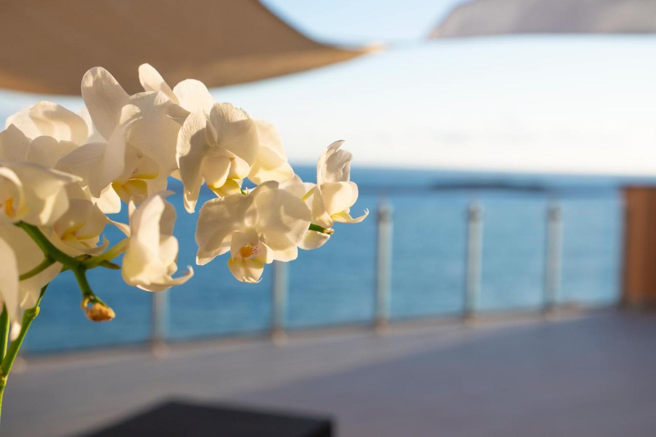 La Dimora Sul Mare Bed & Breakfast Marina di Camerota Exterior photo
